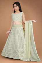 Wedding Designer Light Pista Heavy Fox Georgette Kidswear Lehenga - Aaradhna | Grocsy