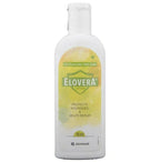 Glenmark Elovera Lotion | Grocsy