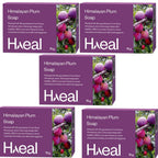 Haeal Himalayan Plum Soap | Grocsy