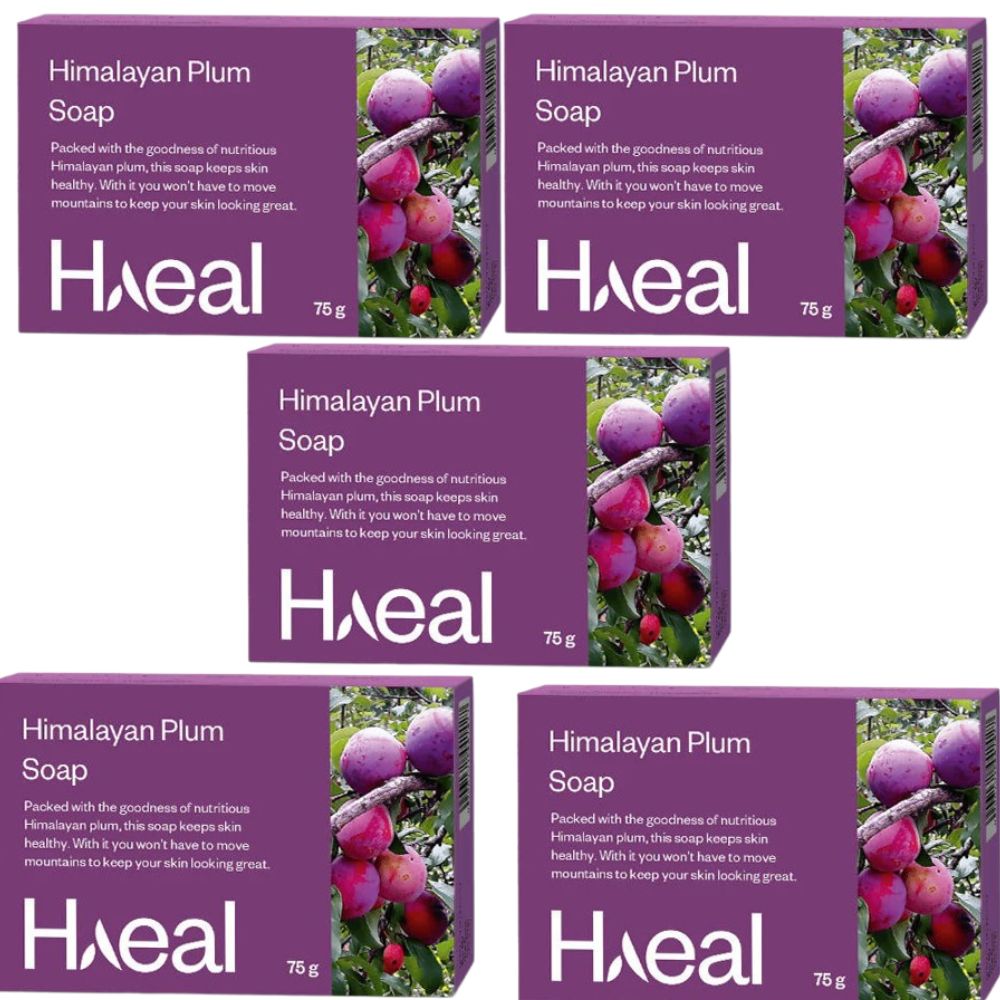 Haeal Himalayan Plum Soap | Grocsy