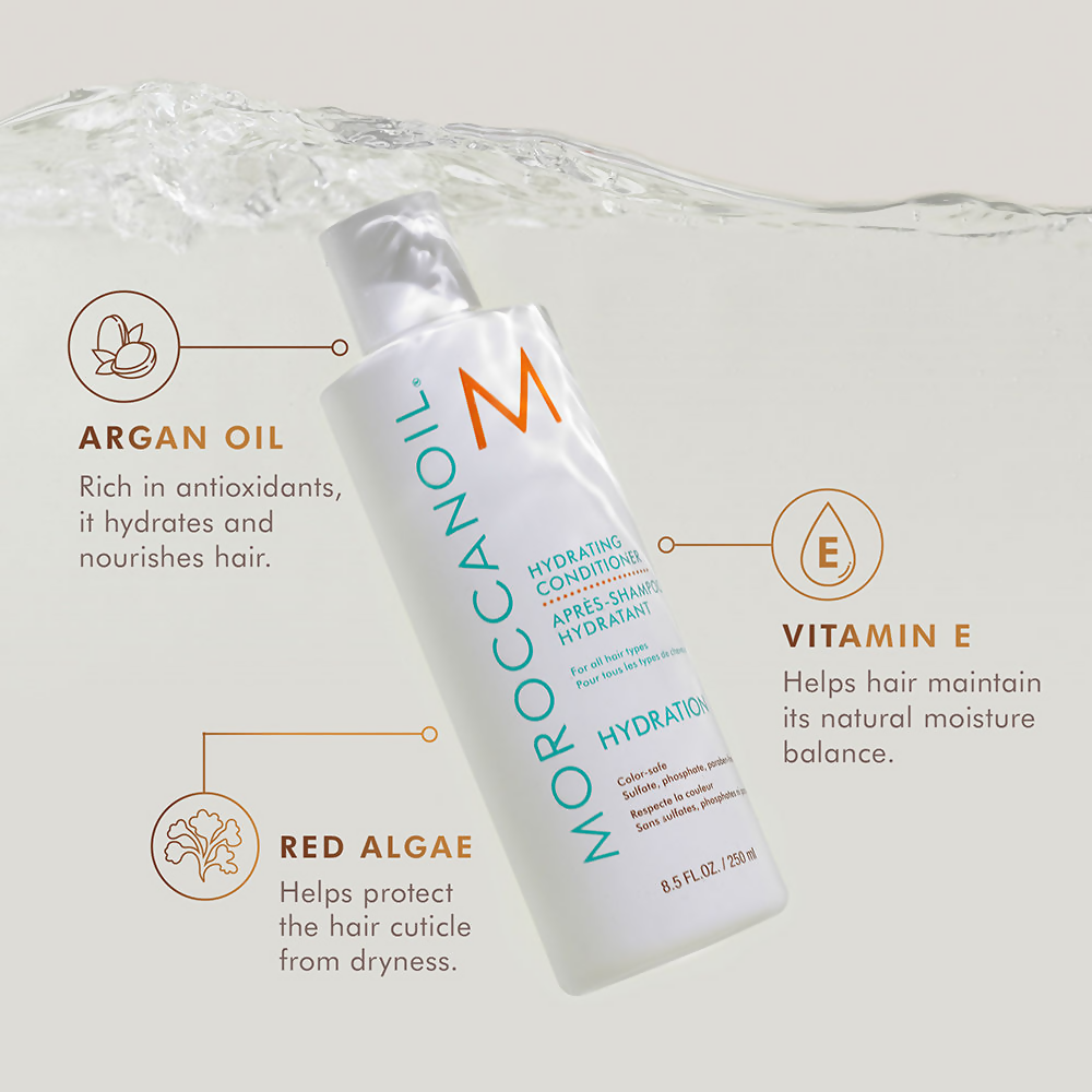 Moroccanoil Hydrating Conditioner For All Hair Types | Grocsy