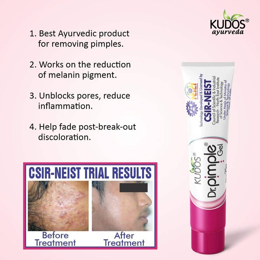 Kudos Ayurveda Dr. Pimple Gel | Grocsy