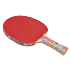 GKI Wood Kung Fu DX Table Tennis Racquet Multicolor | Grocsy
