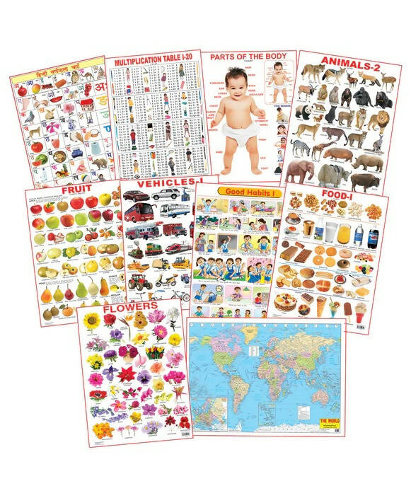 Dreamland Educational Charts - Combo 5 (10 Charts) : Children Early Learning Laminated Chart | Grocsy
