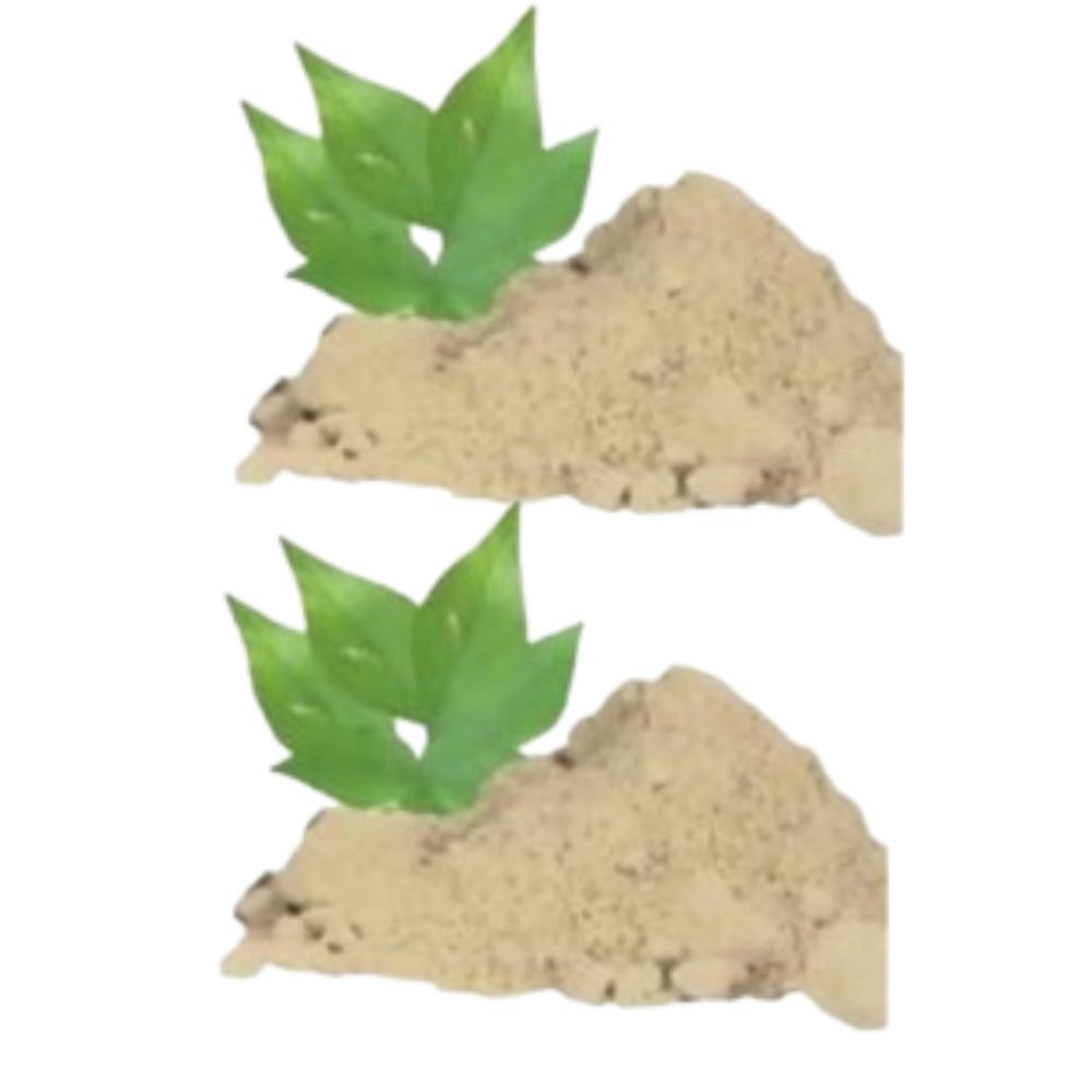 Hebsur Herbals Baelpatra Powder | Grocsy