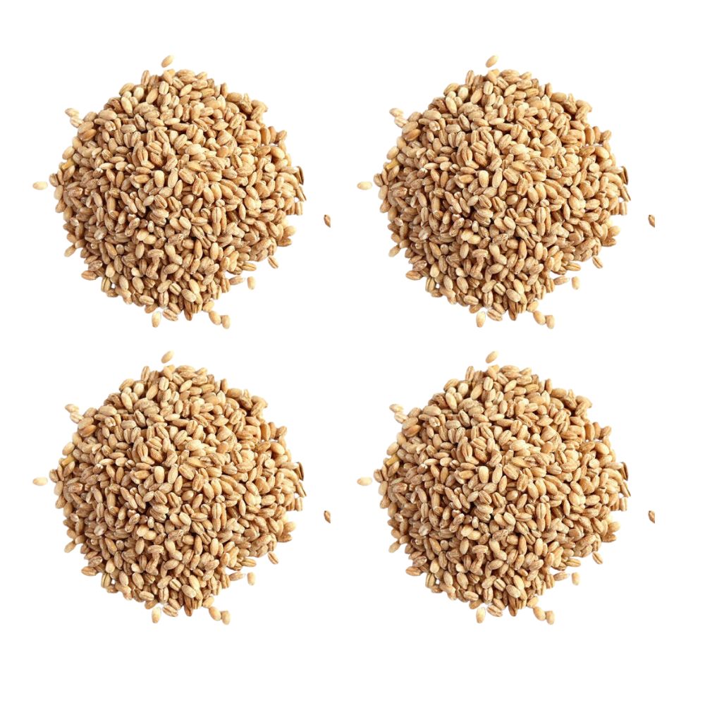 Hebsur Herbals Barley Seeds | Grocsy