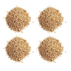 Hebsur Herbals Barley Seeds | Grocsy