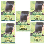 Hesh Amla Powder | Grocsy