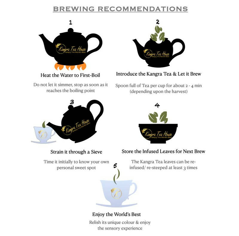 Kangra Tea House PuriTEA - Green Tea | Grocsy