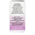 Dr. Willmar Schwabe India Alpha DP Tablet | Grocsy