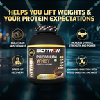 Scitron Nitro Series Premium Whey Rich Chocolate | Grocsy