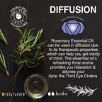 Soulflower Rosemary Essential Oil | Grocsy