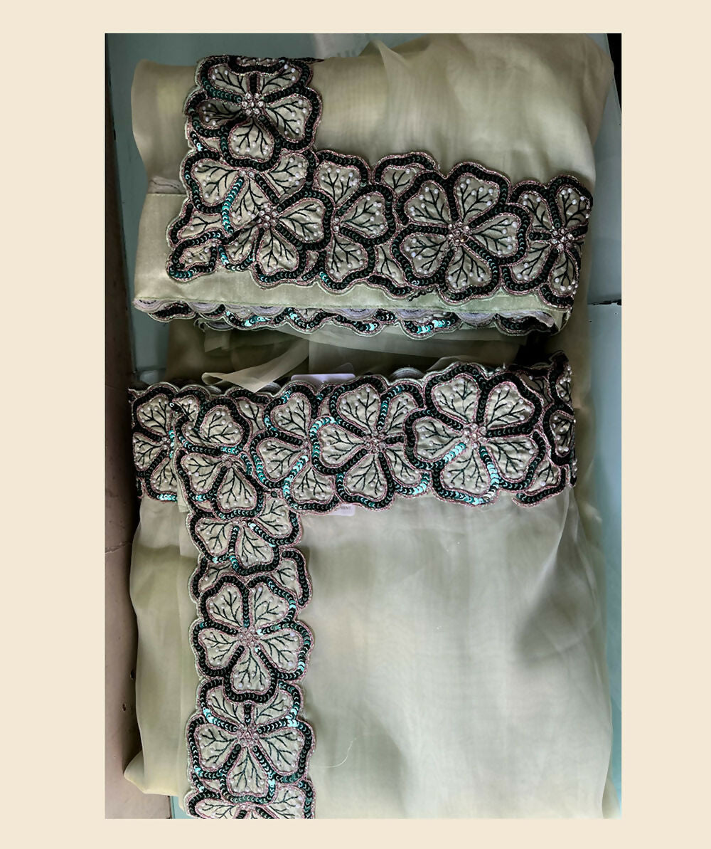 Light Green Net Organza Georgette Thread, Sequence, Cord Embroidered with Moti Work Saree - Mohmanthan Dakshika | Grocsy