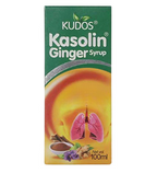 Kudos Ayurveda Kasolin Ginger Syrup | Grocsy
