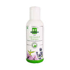 Boericke & Tafel Anti- Dandruff Shampoo | Grocsy