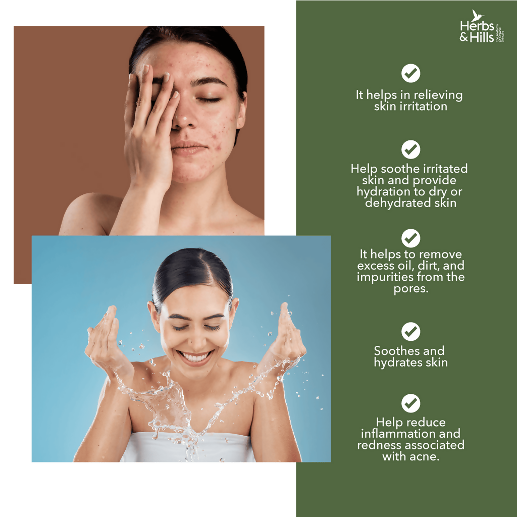 Herbs & Hills Clarifying Tea Tree Face Wash | Grocsy
