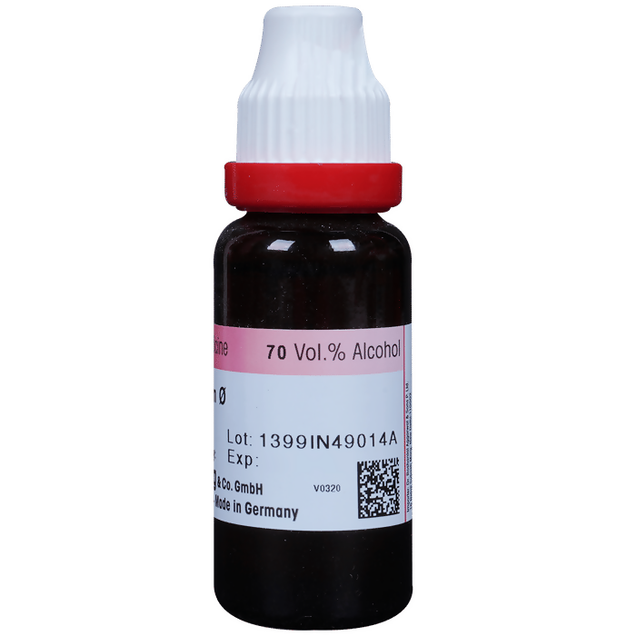 Dr. Reckeweg Allium Sativum Mother Tincture Q | Grocsy