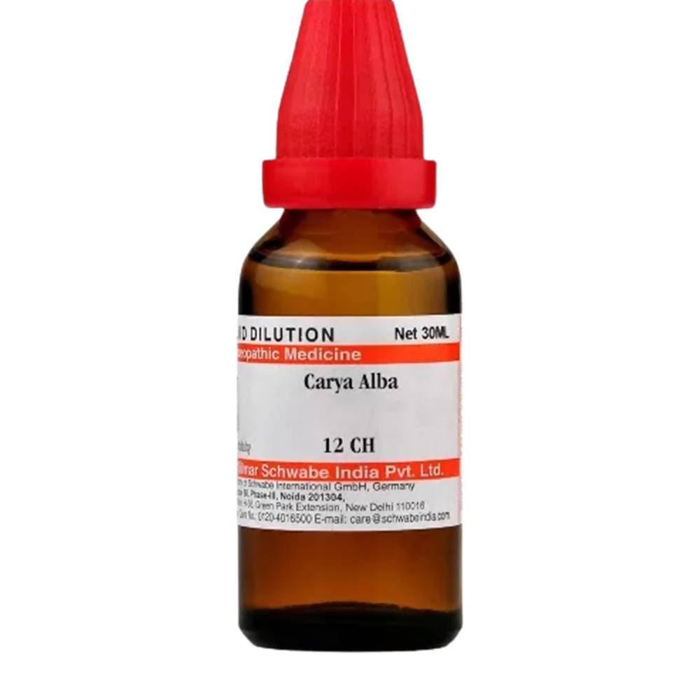 Dr. Willmar Schwabe India Carya Alba Dilution | Grocsy