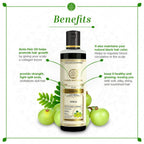 Khadi Natural Pure Amla Herbal Hair Oil | Grocsy