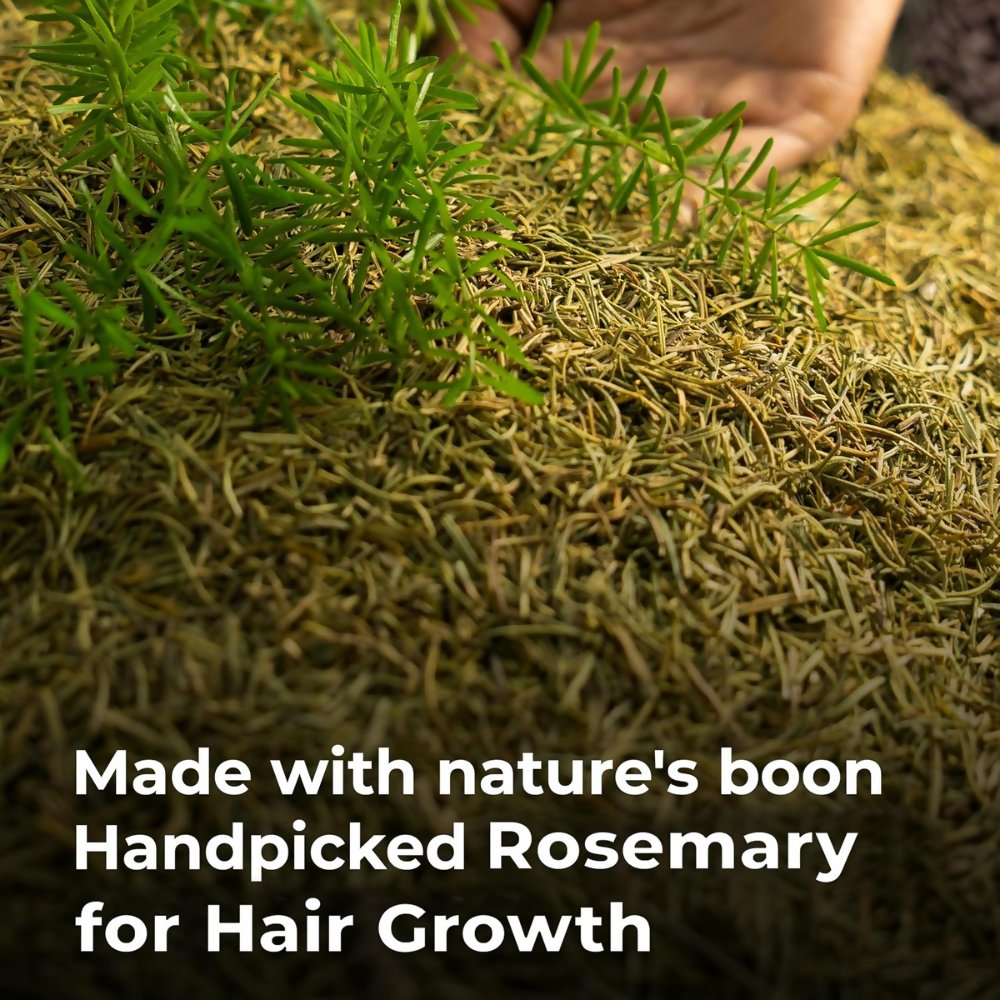 Pureus Herbals Anti Hair Fall Combo Kit | Grocsy