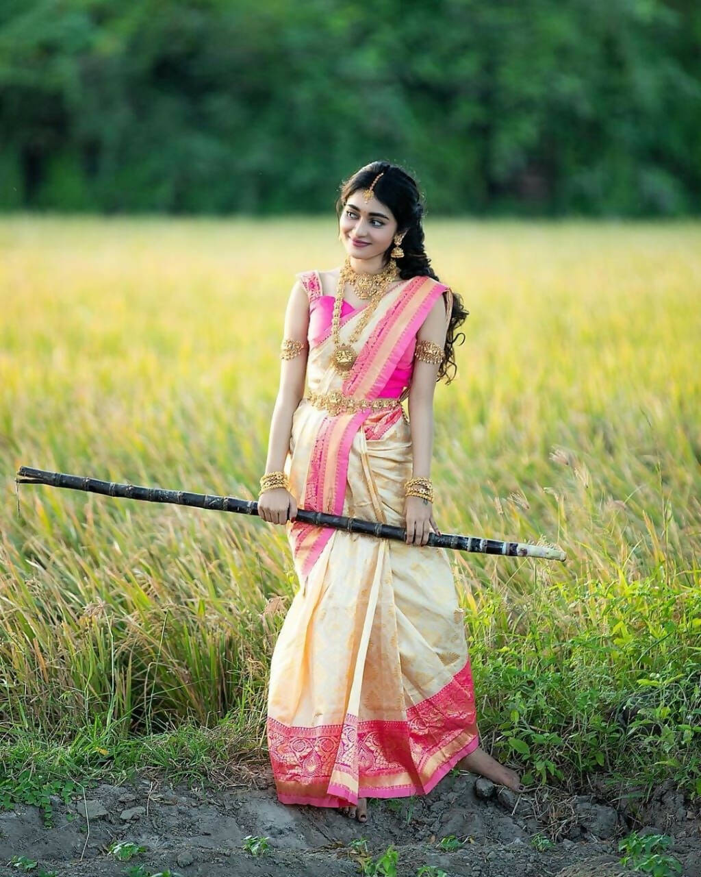 DEIANA'S Beautiful Designer Golden zari Soft Lichi Silk Saree - White | Grocsy