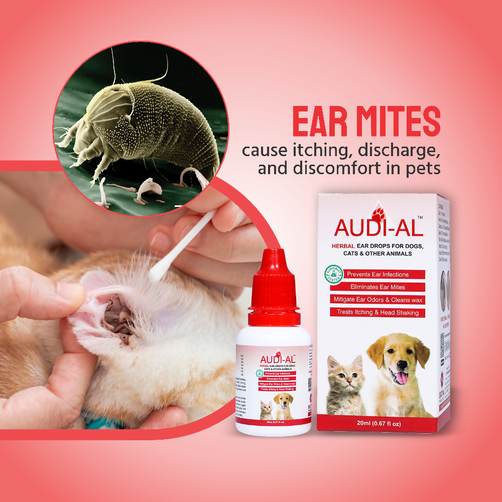 Satya Pharmaceuticals Ayurveda Audi-Al Ear Drops (Veterinary) | Grocsy