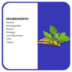 Desh Rakshak Healthowin Granules | Grocsy