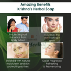 Krishna'S Herbal & Ayurveda Herbal Soap Fully Hydrated | Grocsy