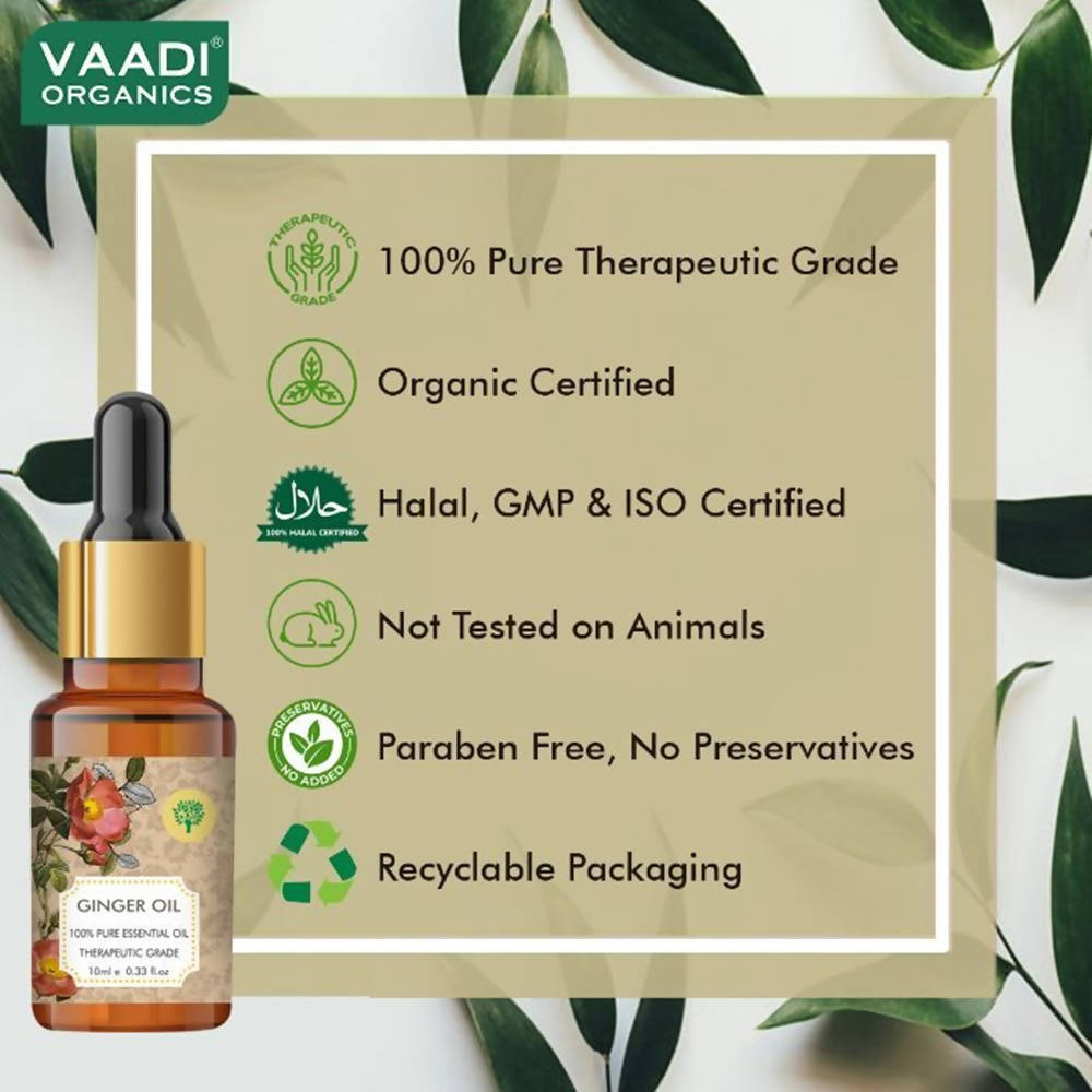Vaadi Herbals Ginger 100% Pure Essential Oil Therapeutic Grade | Grocsy