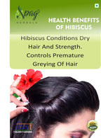 Spag Herbals Premium Hibiscus Leaf Powder | Grocsy