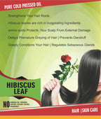 Spag Herbals Premium Hibiscus Leaf Powder | Grocsy