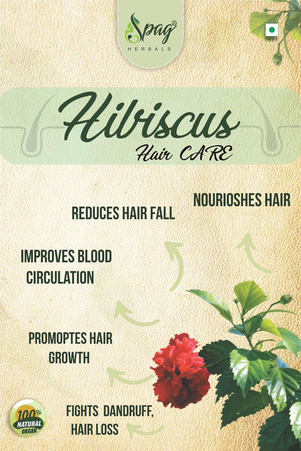 Spag Herbals Premium Hibiscus Leaf Powder | Grocsy