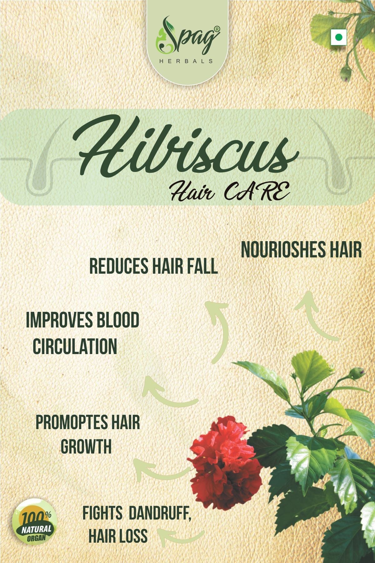 Spag Herbals Premium Hibiscus Leaf Powder | Grocsy