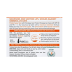 Himalaya Herbals Sun Protect Orange Lip Care | Grocsy