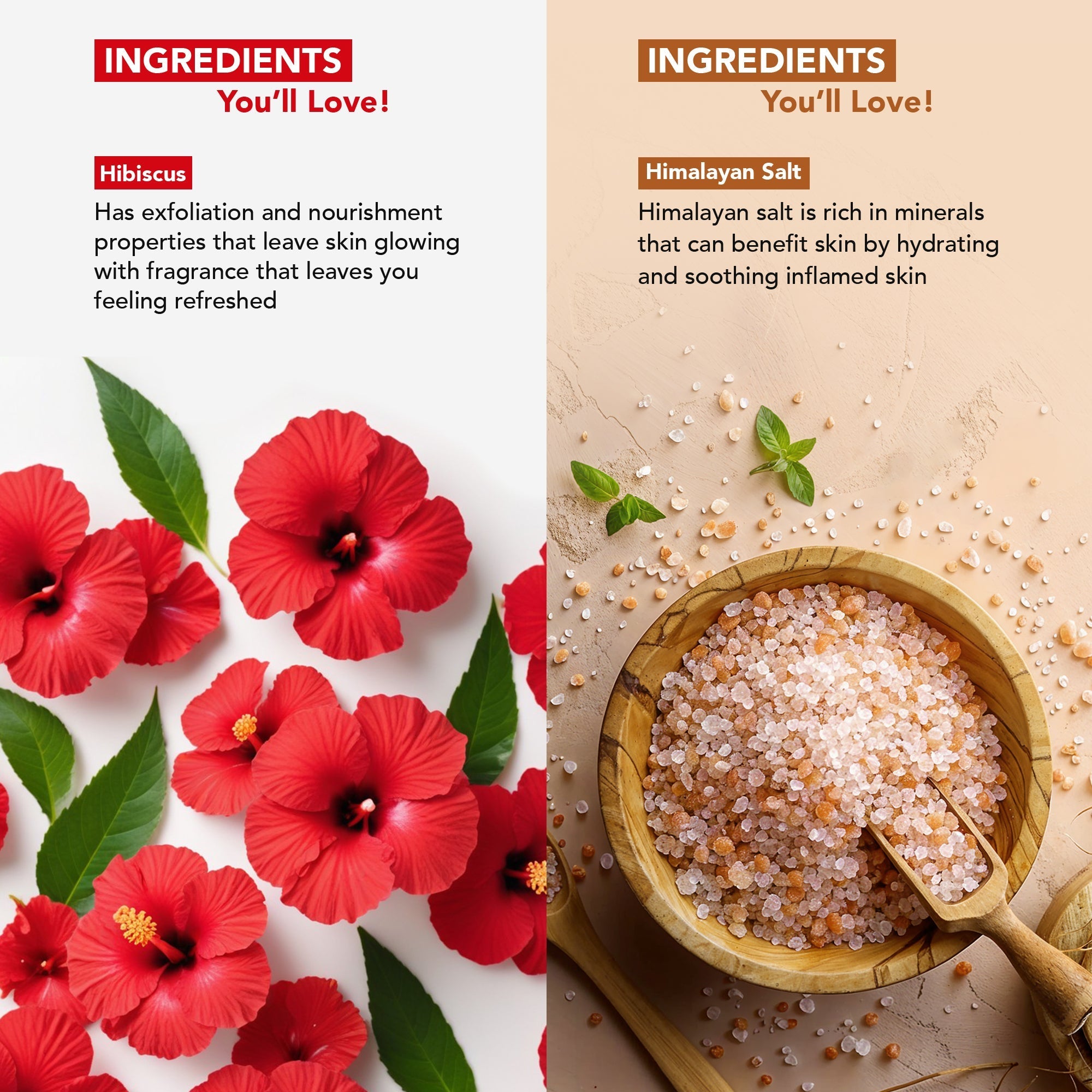 Botanic Hearth Deep Exfoliation Combo - Himalayan & Hibiscus Body Scrubs | Grocsy