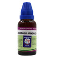 Father Muller Cochlearia Armoracia Mother Tincture Q | Grocsy