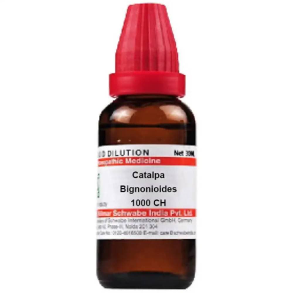 Dr. Willmar Schwabe India Catalpa Bignonioides Dilution | Grocsy