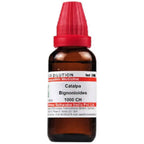 Dr. Willmar Schwabe India Catalpa Bignonioides Dilution | Grocsy