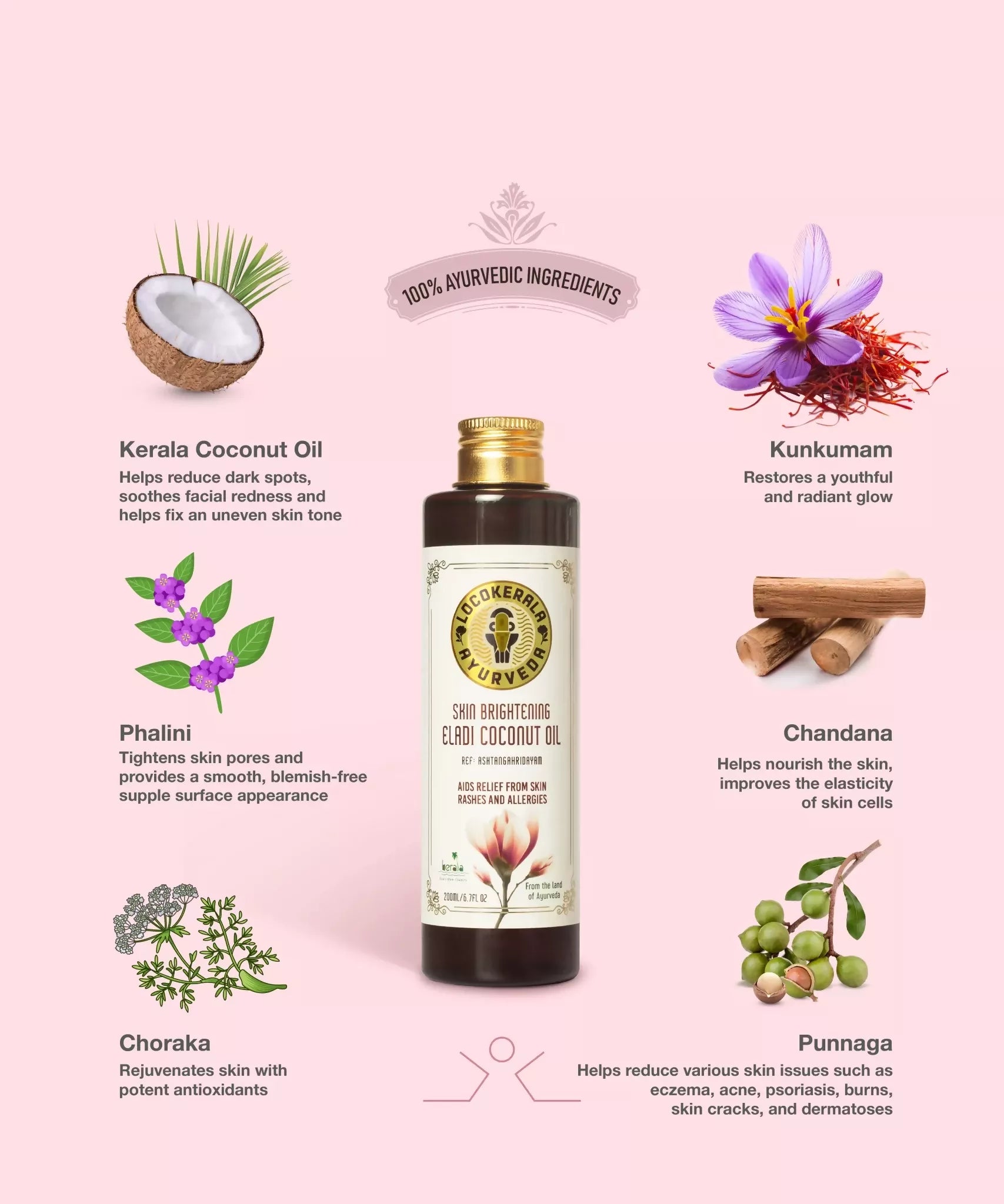 LocoKerala Eladi Coconut Oil – Your Path to Luminous Skin | Grocsy