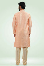 Raivat Ethnic Jacquard Banarasi Silk Pintux Work Kurta Pajama In Peach Colour | Grocsy