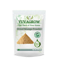 Yuvagrow Dried Mango Powder