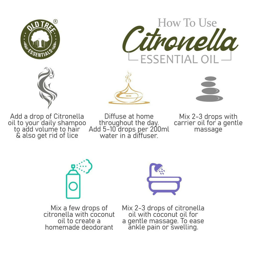 Old Tree Citronella Essential Oil | Grocsy