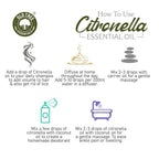 Old Tree Citronella Essential Oil | Grocsy