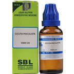 SBL Homeopathy Cicuta Maculata Dilution | Grocsy