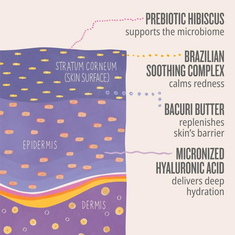 Sol de Janeiro Delicia Drench Body Butter | Grocsy