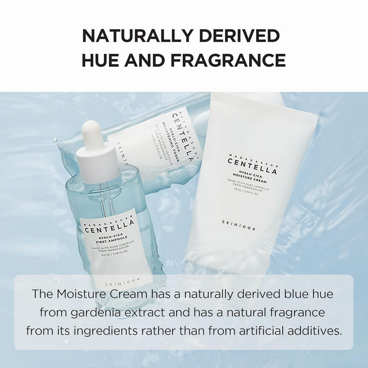 SKIN1004 Madagascar Centella Hyalu-Cica Moisture Cream | Grocsy