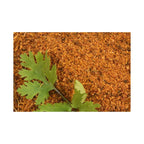 Amoga's Pickles Factory Coriander Leaves Curry Powder Andhra Style