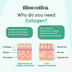 Bioexotica Orange Flavour Collagen Powder With Hyaluronic Acid, Aloe Vera, Blue Berry & Biotin | Grocsy