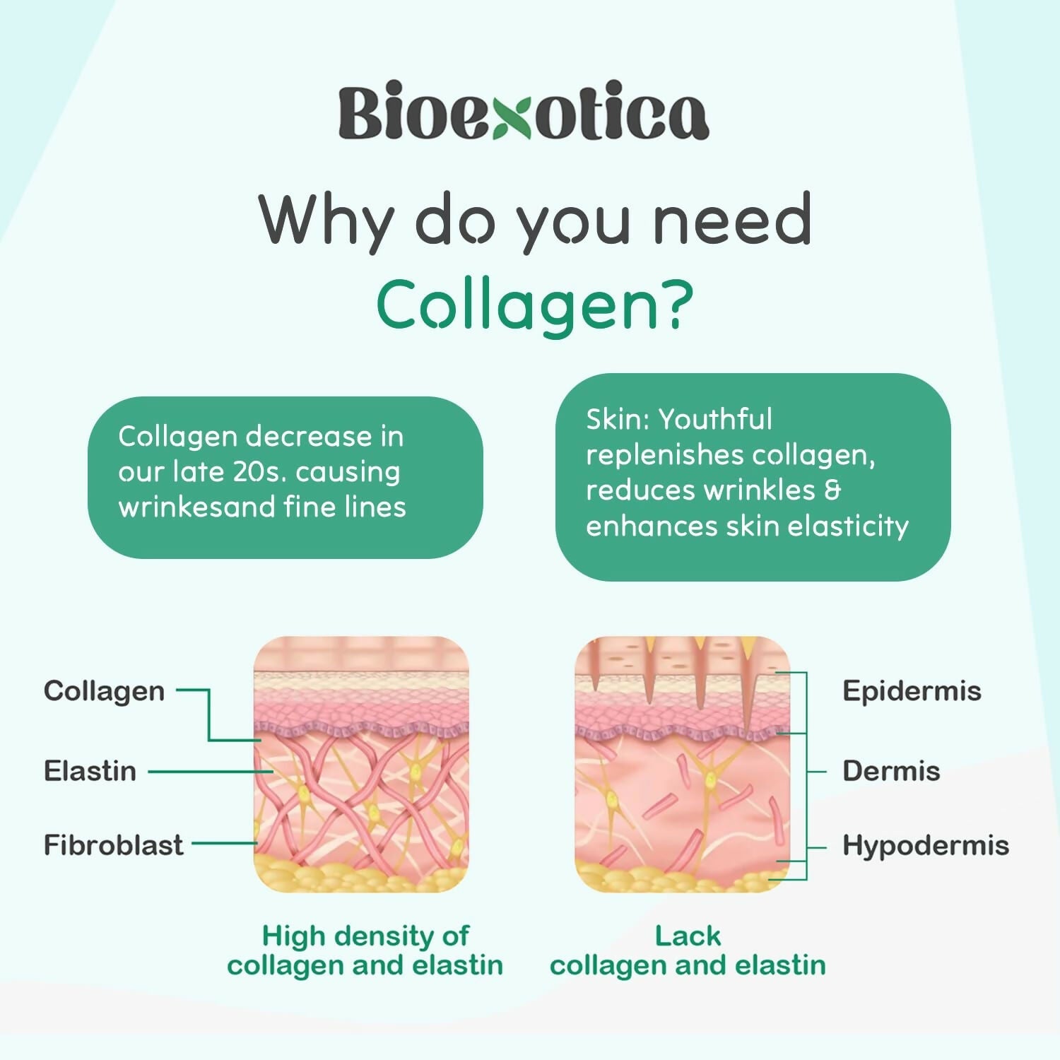 Bioexotica Orange Flavour Collagen Powder With Hyaluronic Acid, Aloe Vera, Blue Berry & Biotin | Grocsy