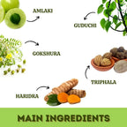 Herbal Hills Ayurveda Imunohills Capsules | Grocsy
